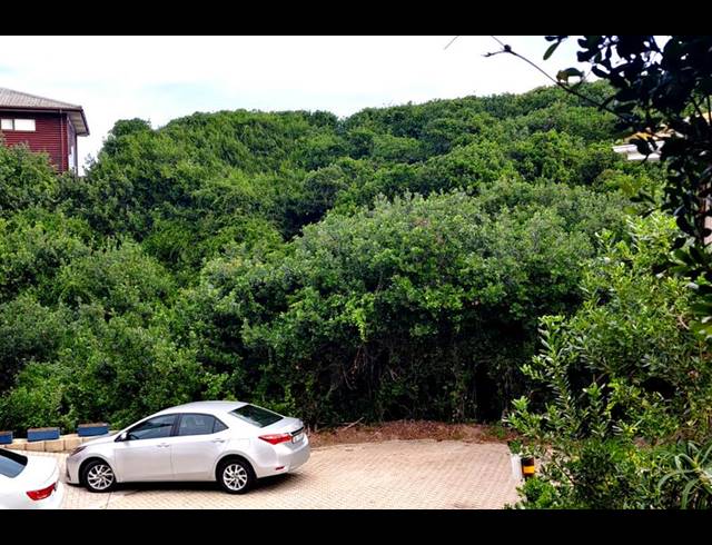 LAND FOR SALE IN DWARSWEGSTRAND